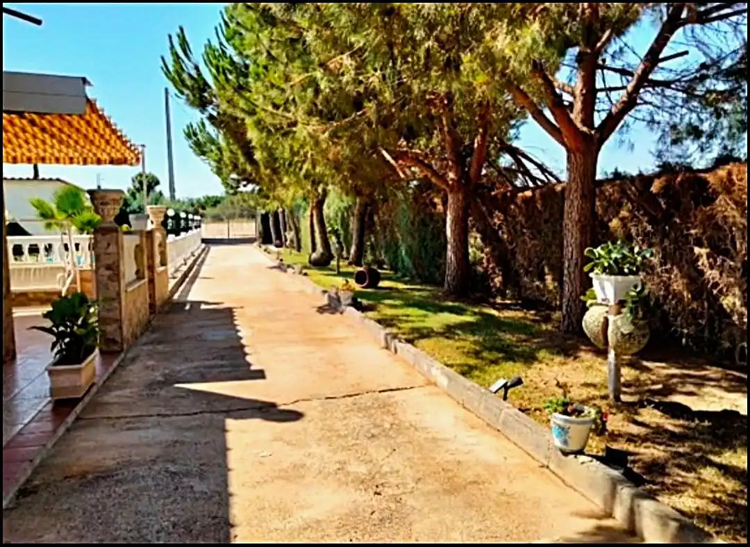 Vista exterior de Finca rústica en venta en Arroyo de San Serván con Aire acondicionado, Calefacción y Jardín privado