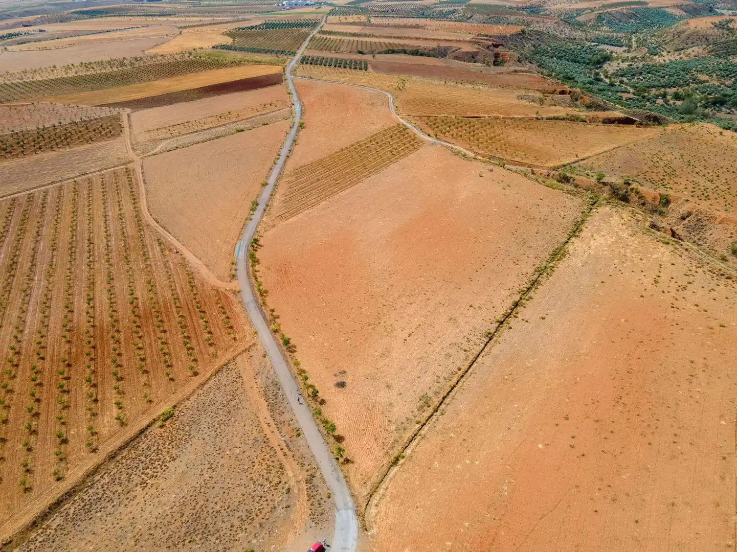 Terreno en venta en Cogollos de Guadix