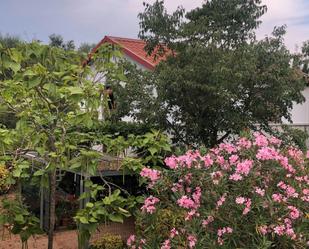 Jardí de Finca rústica en venda en Barx