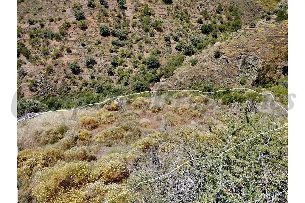 Terreny rústic en venda a Sayalonga, imagen 4