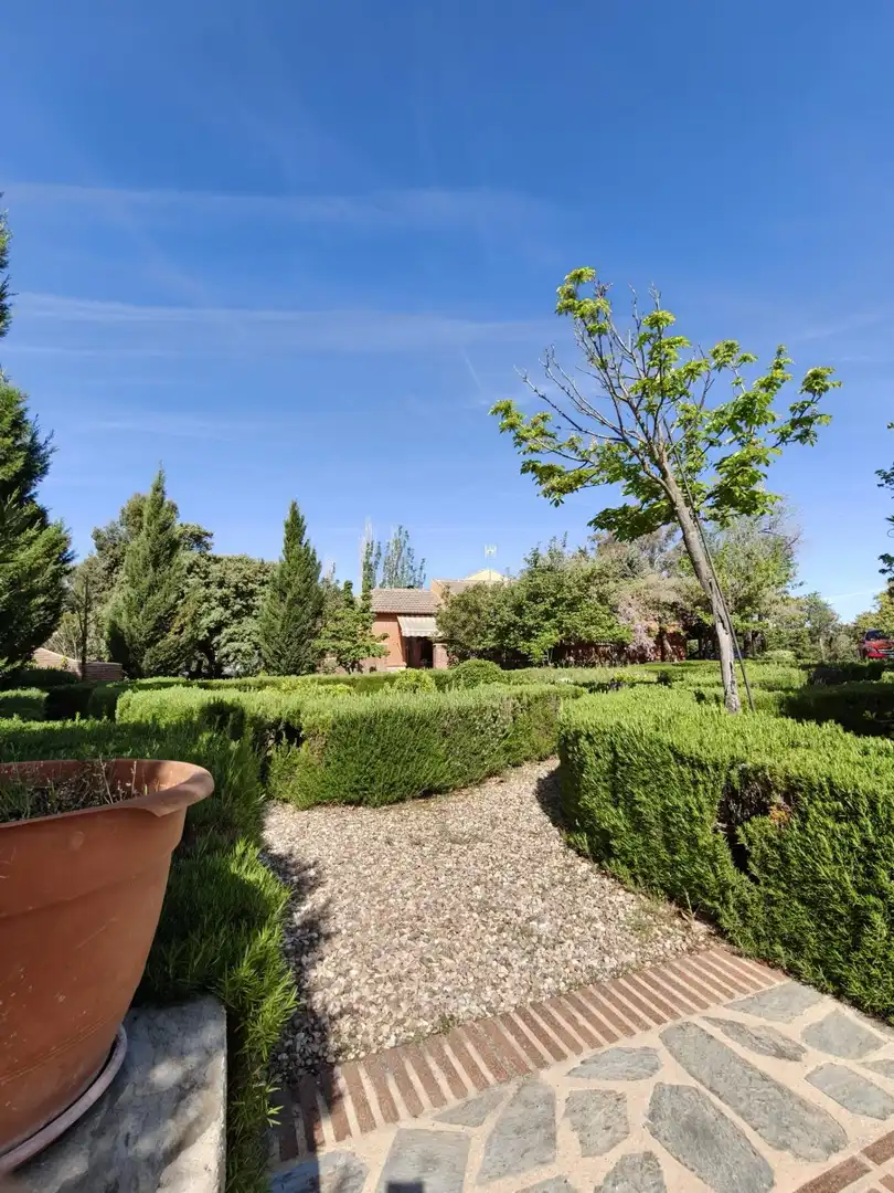 Chalet en venta en CERRO PALOS poligono 45 parcela 63, imagen 26