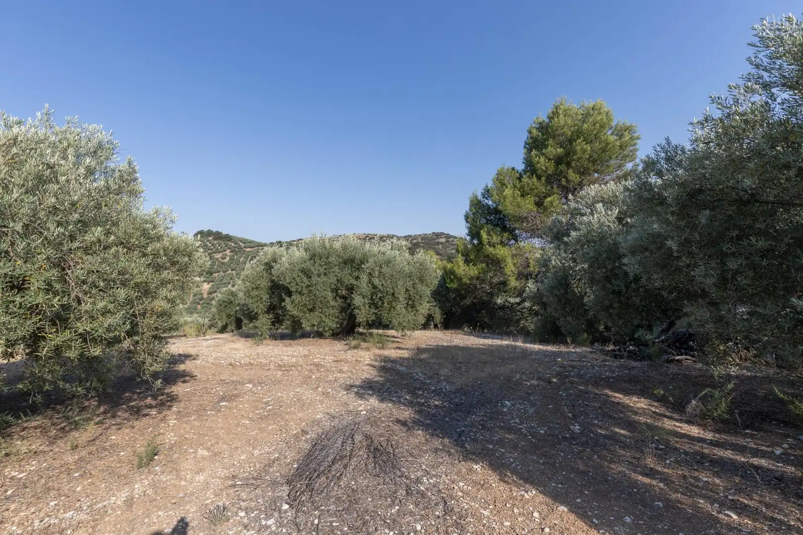 Terreni e lotti in vendita a Lugar Lugar del Cortijo Aguadero, imagen 43