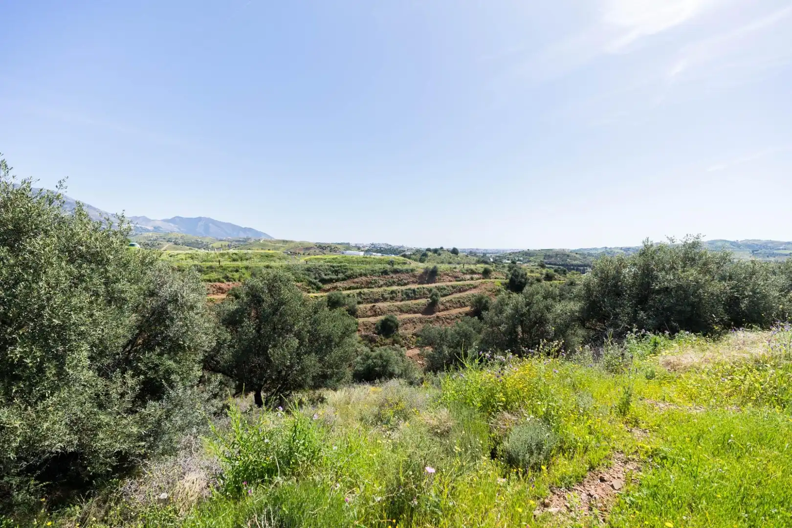 Terreno residencial en venta en Valtocado - La Alquería - La Atalaya, imagen 5