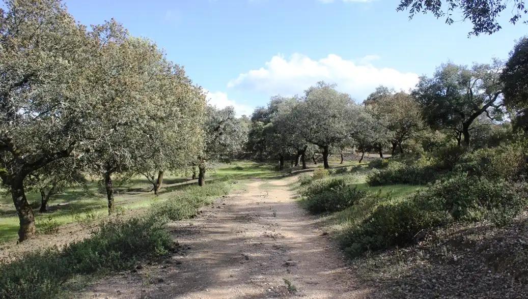 Terreni e lotti in vendita a Santa Olalla del Cala, imagen 36