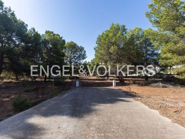 Terreno rustico in vendita a Los Pinares - La Masia