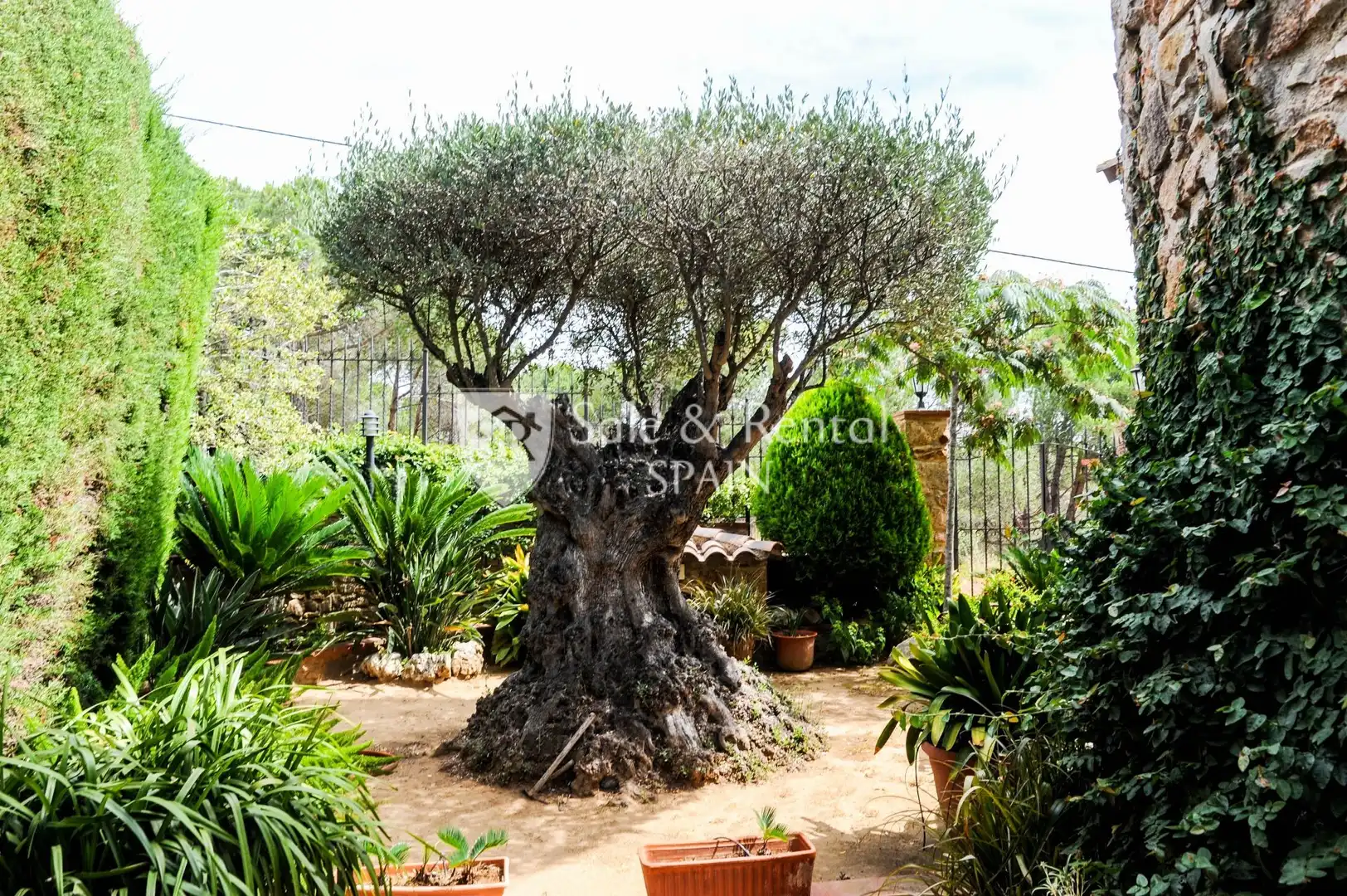 Jardín de Casa o chalet en venta en Blanes con Calefacción, Jardín privado y Terraza