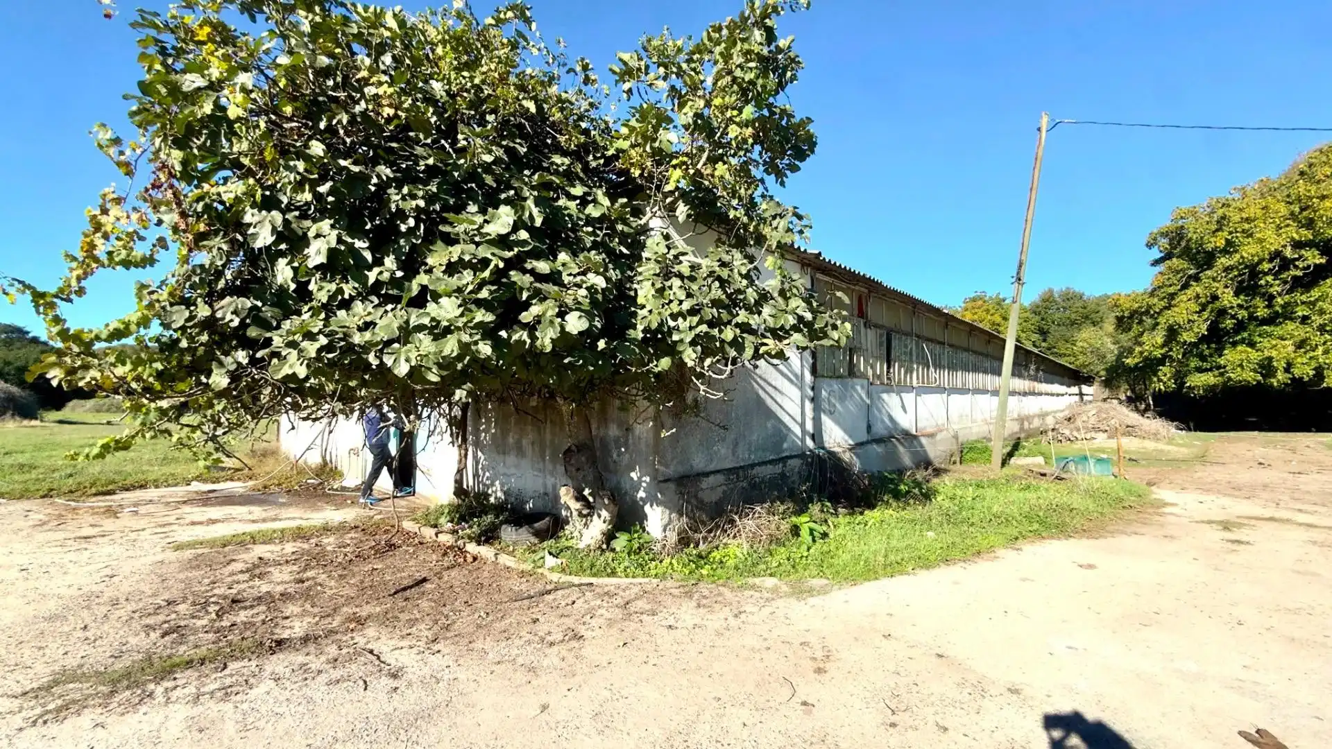 Casa con piscina en venta en Amoeiro, imagen 69