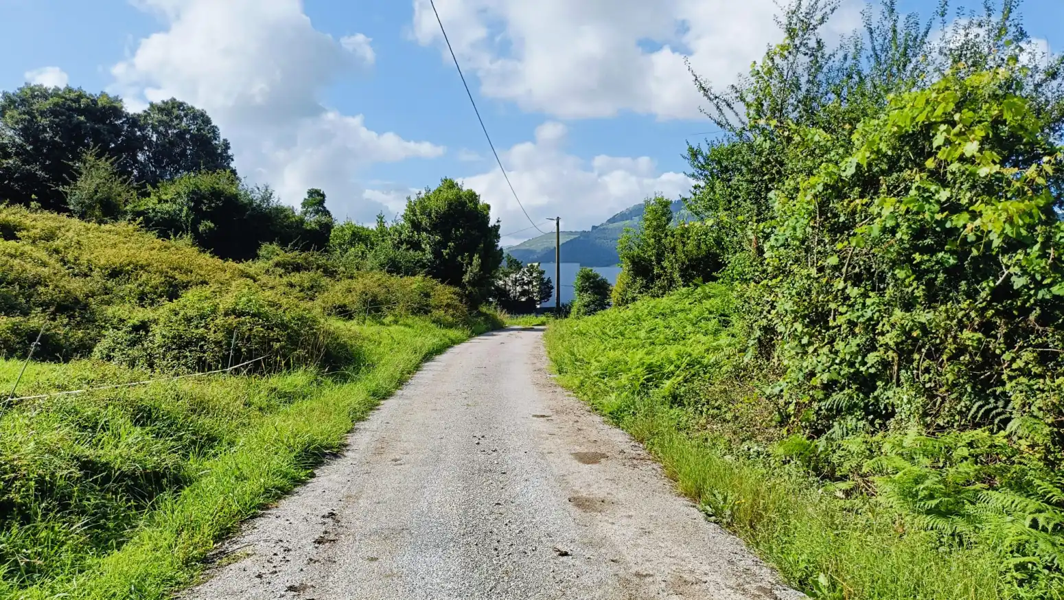 Terreni e lotti in vendita a Gajano - CARRETERA 141, GAJANO, imagen 11