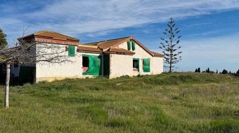 Foto 3 de Finca rústica en venda a El Raso, Guardamar del Segura