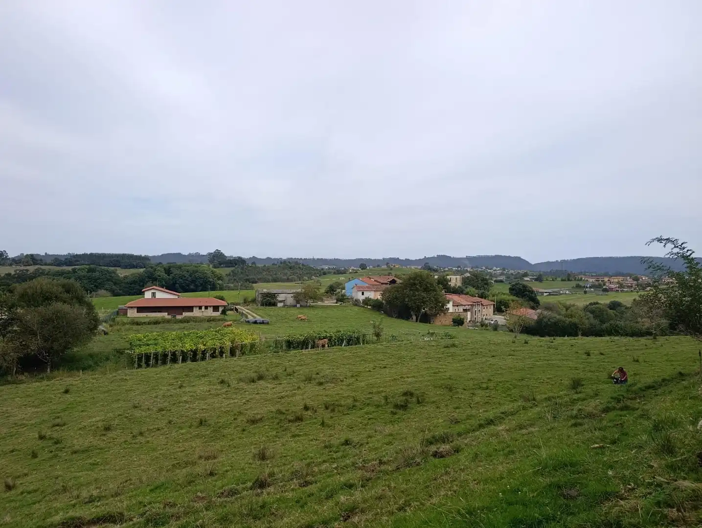 Rustikales Grundstück zum Verkauf in Carretera Piñera (Noriega) 0, imagen 25