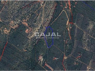 Terreno rustico in vendita a poligono 6 parcela 6030