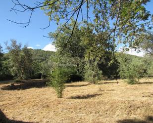 Residencial en venda en Aldeanueva de la Vera