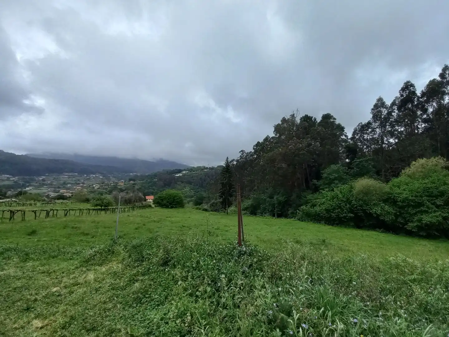 Grundstücke zur Miete in Redondela