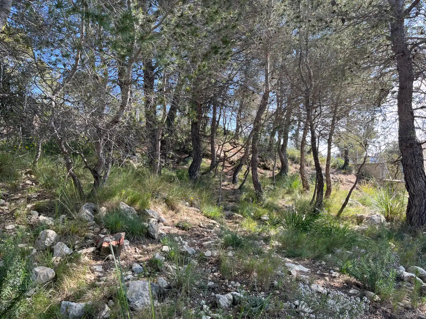Terreno residencial en venta en Passeig Pins 4, imagen 4