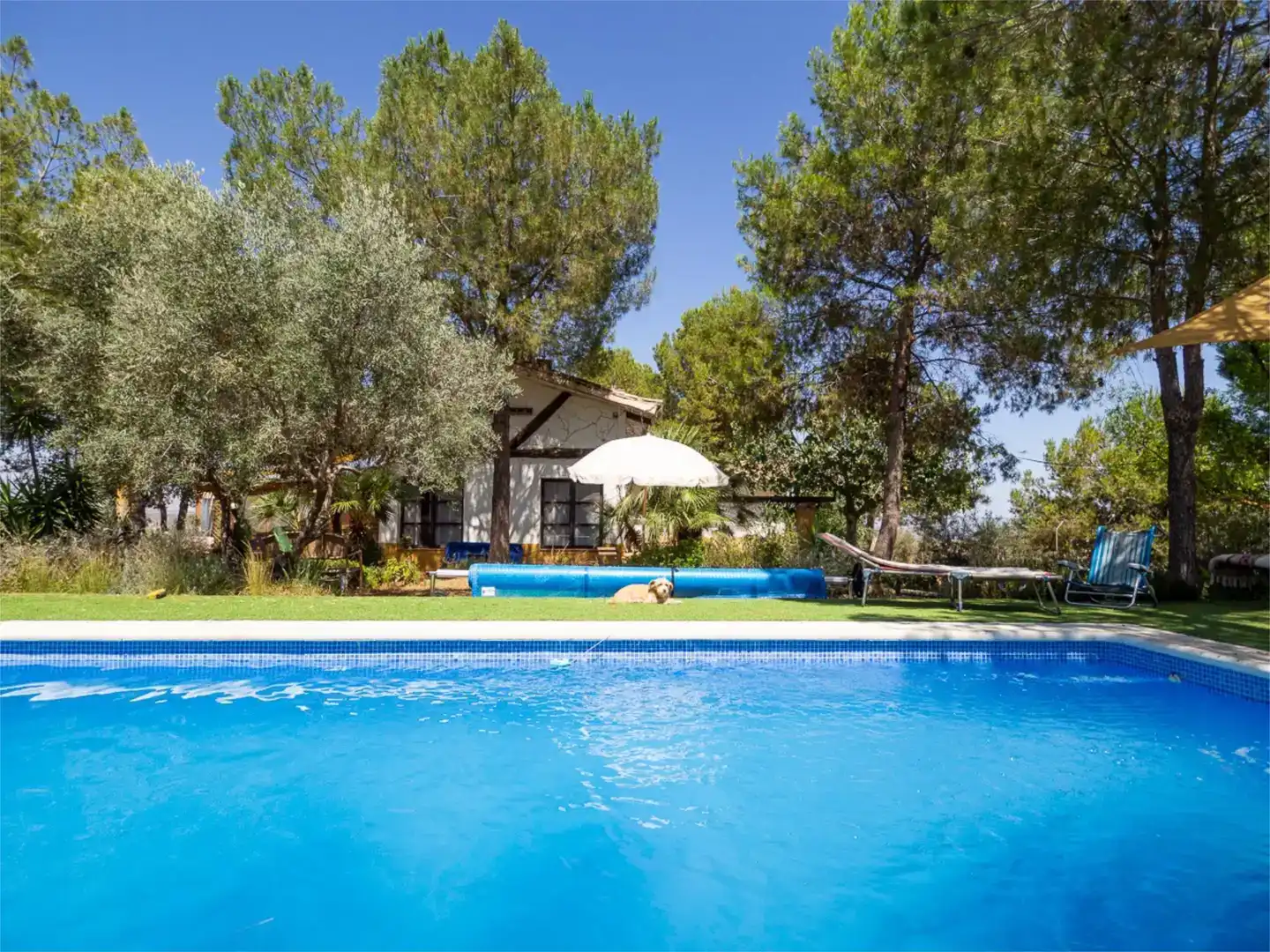 Piscina de Casa o xalet en venda en Chimeneas amb Aire condicionat i Piscina
