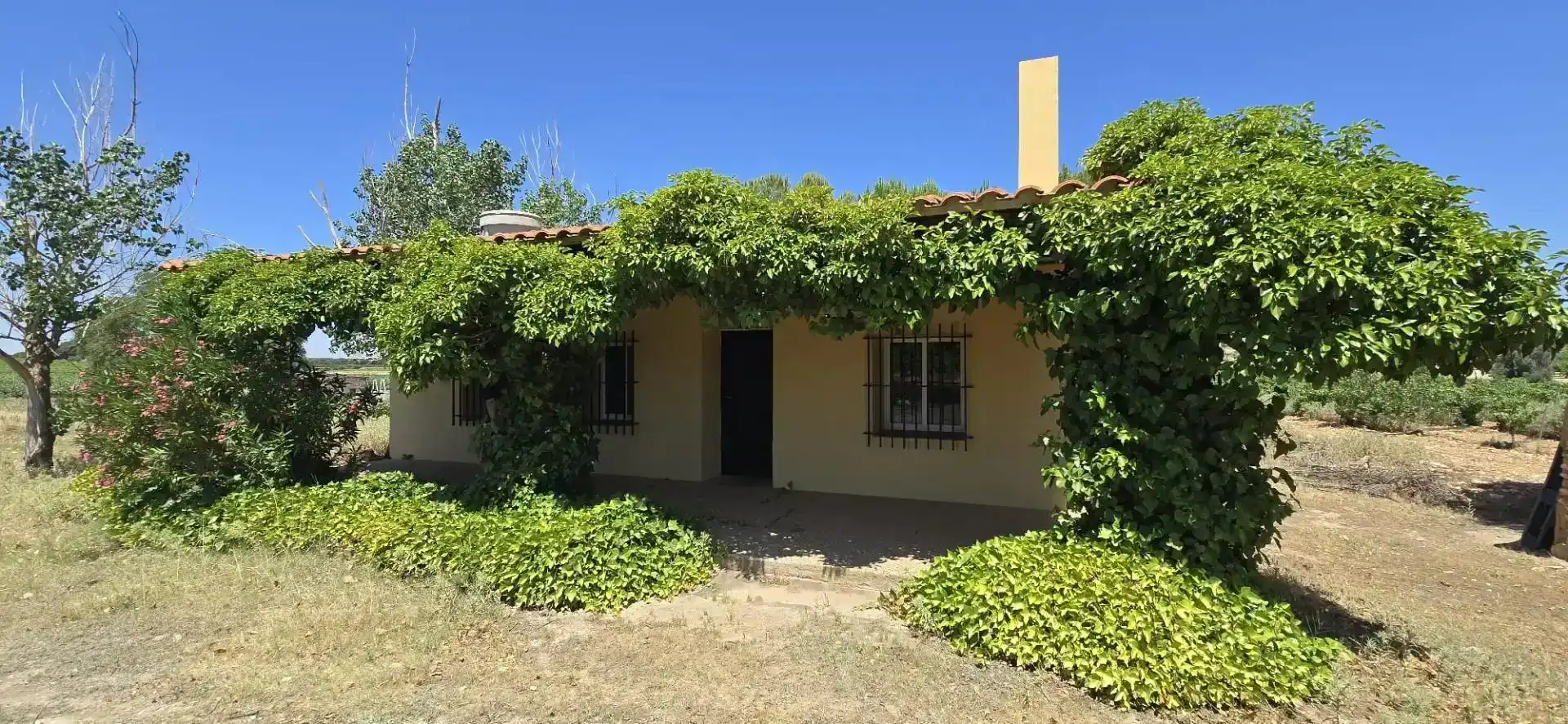 Vista exterior de Finca rústica en venda en Villarrobledo amb Piscina