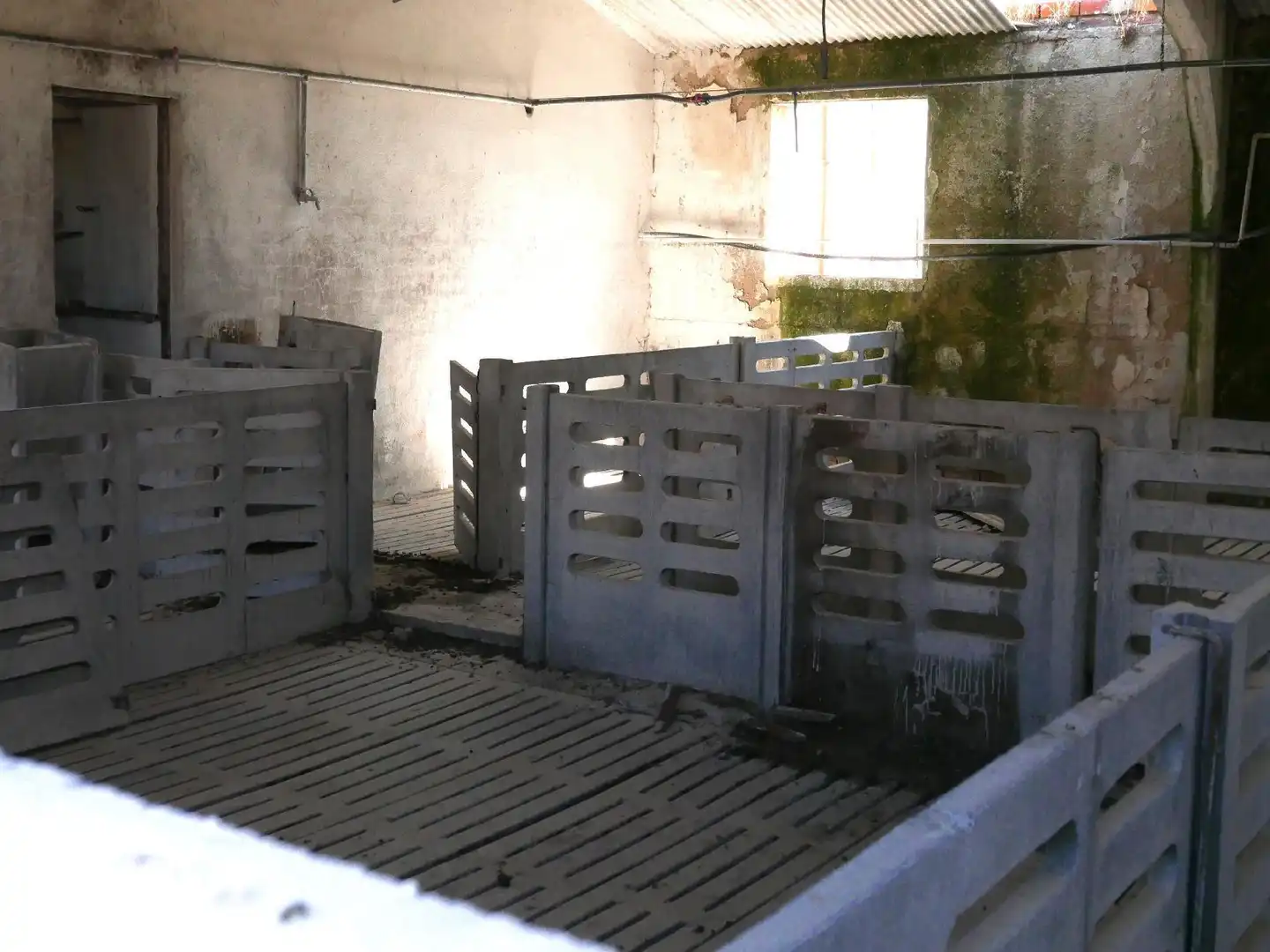 Nau industrial en venda en Escarabajosa de Cabezas
