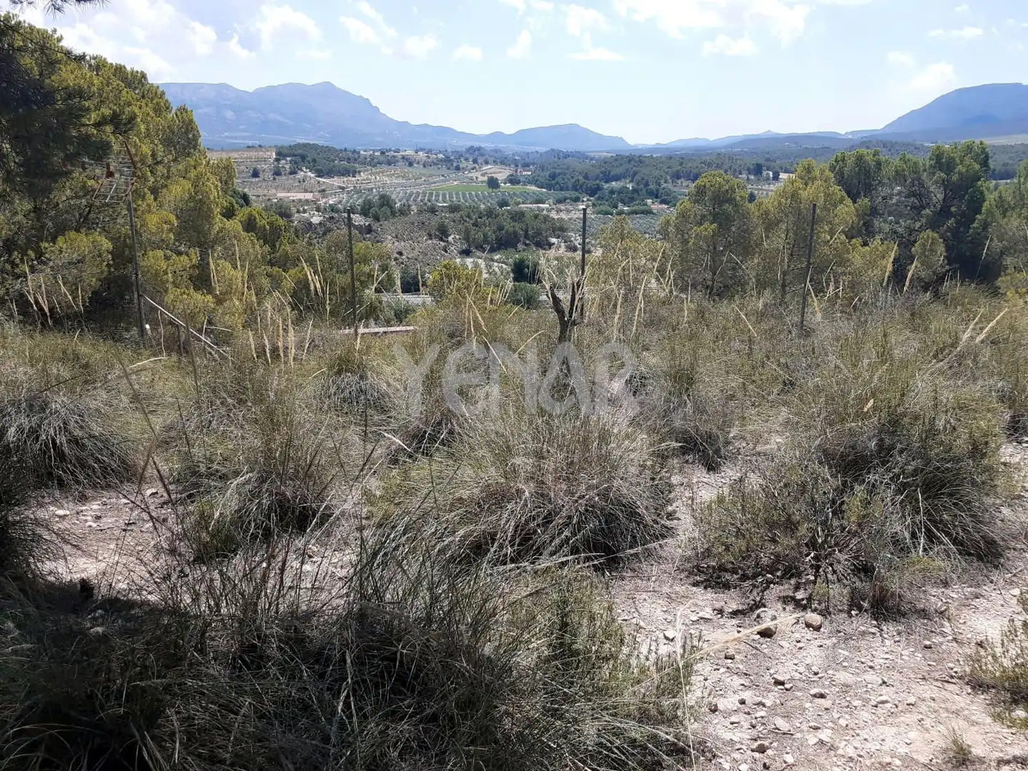 Terreny rústic en venda a Castalla, imagen 2
