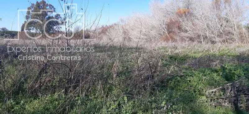 Terreni e lotti in vendita a Almonte ciudad, imagen 13