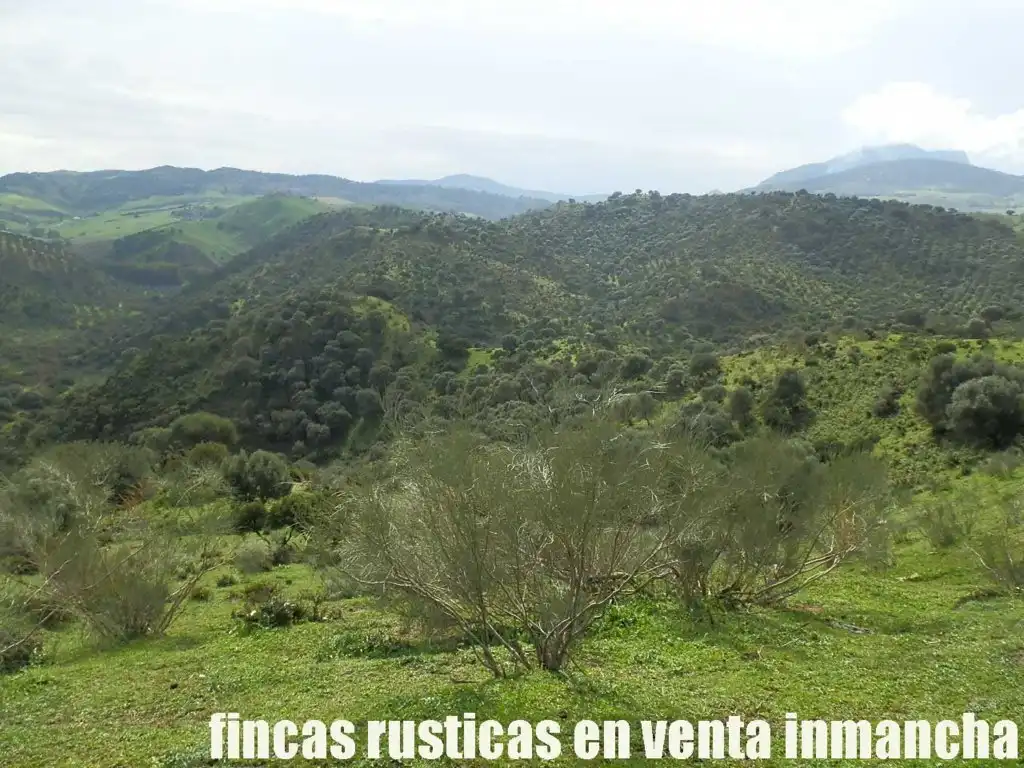 Terreno rustico in vendita a Algodonales, imagen 7