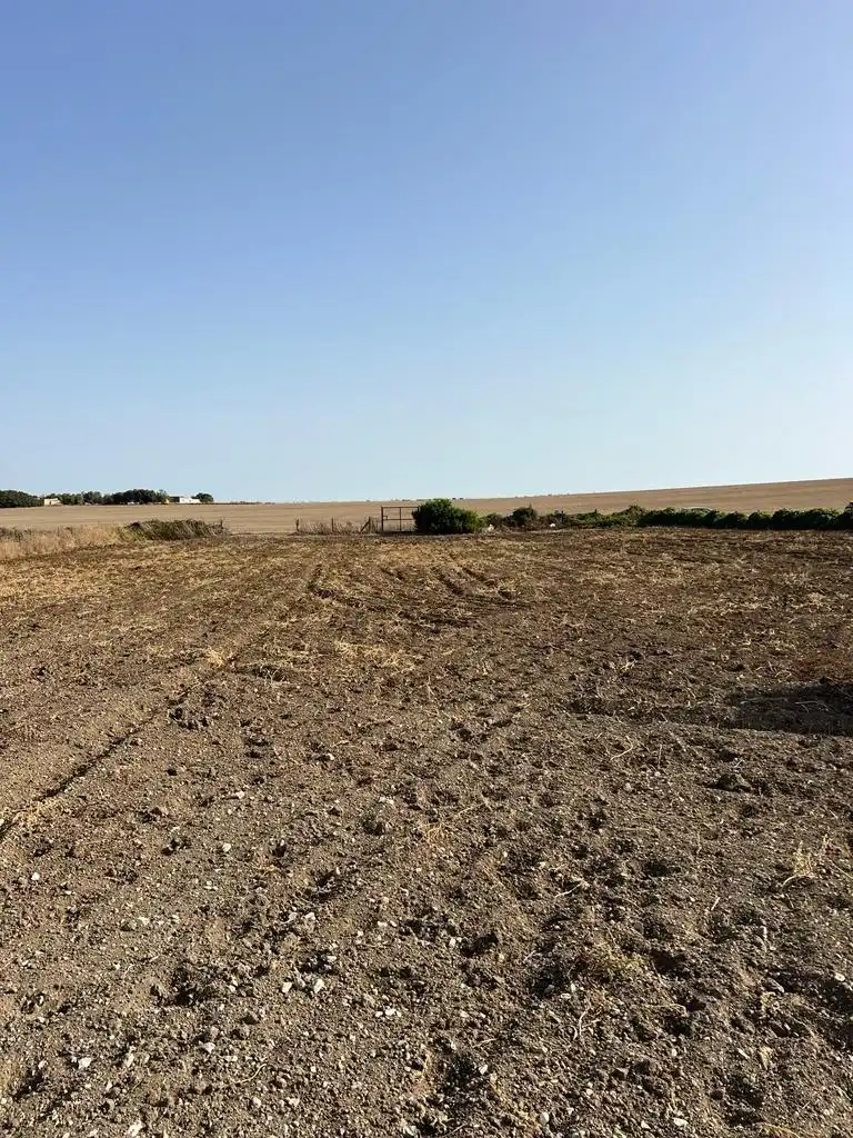 Wohnbaugrundstück zum Verkauf in Los Franceses – La Vega, imagen 5