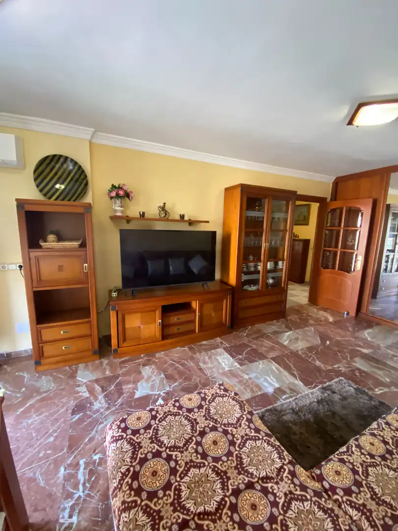 Wohnzimmer von Wohnung zur Miete in Málaga mit Klimaanlage, Terrasse und Möbliert