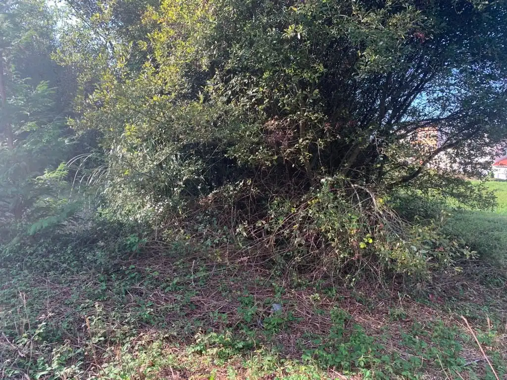 Terreno residenziale in vendita a Coto Núcleo, imagen 2