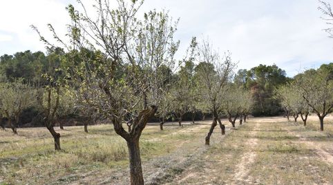 Finca rústica en Calaceite, immagine 2