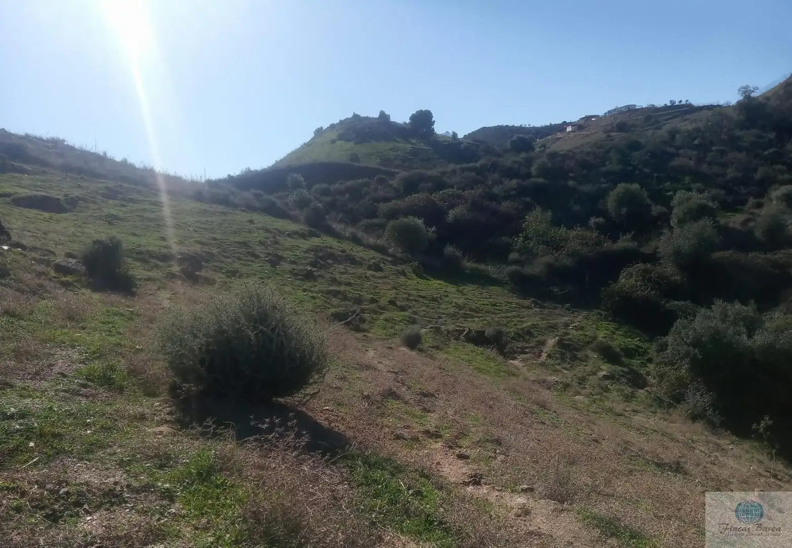 Finca rústica en venda en Mijas