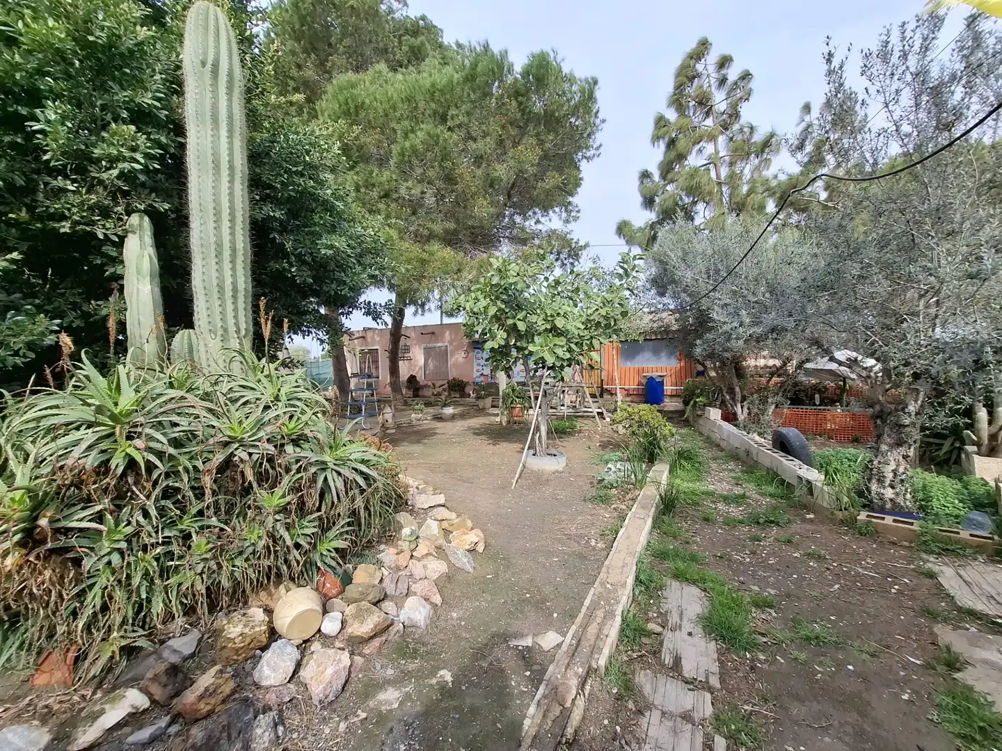 Finca rústica en venda a Partida Saavedra, El Edén