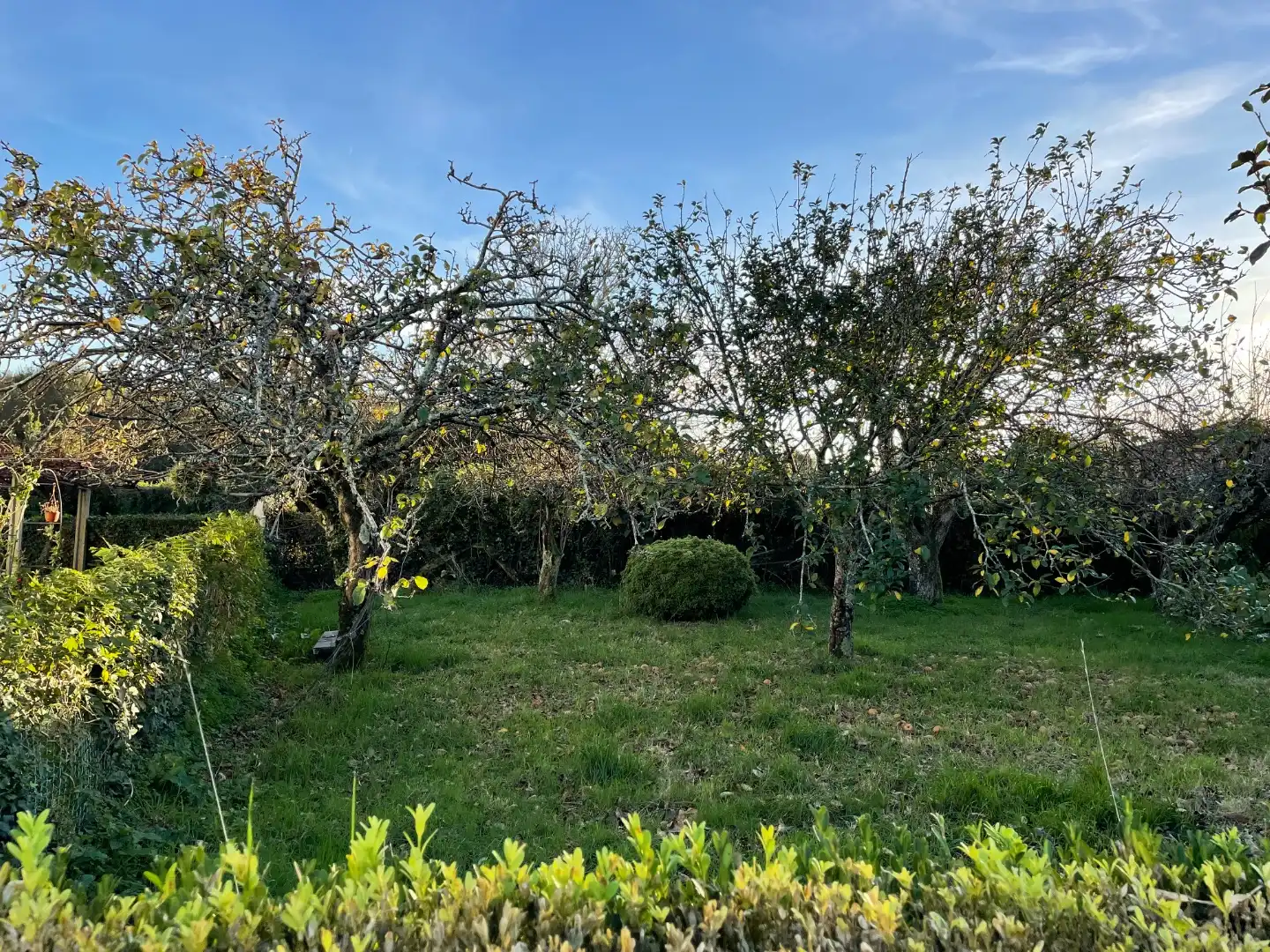 Habitatge amb jardí en venda a Camino Ponte 20, imagen 10