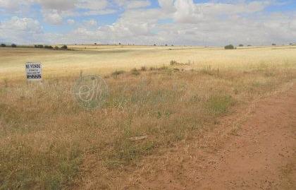 Foto 5 de Finca rústica en venda a N/a, Brieva, Segovia