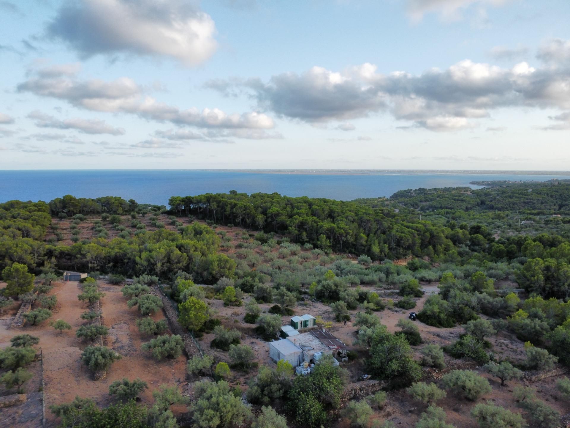 Finca rústica en venta en L'Ametlla de Mar  con Terraza