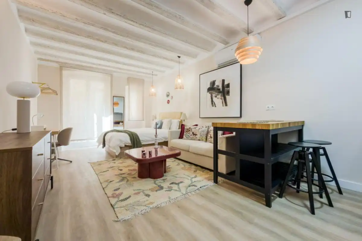 Sala de estar de Estudio de alquiler en Barcelona con Aire acondicionado, Calefacción y Amueblado