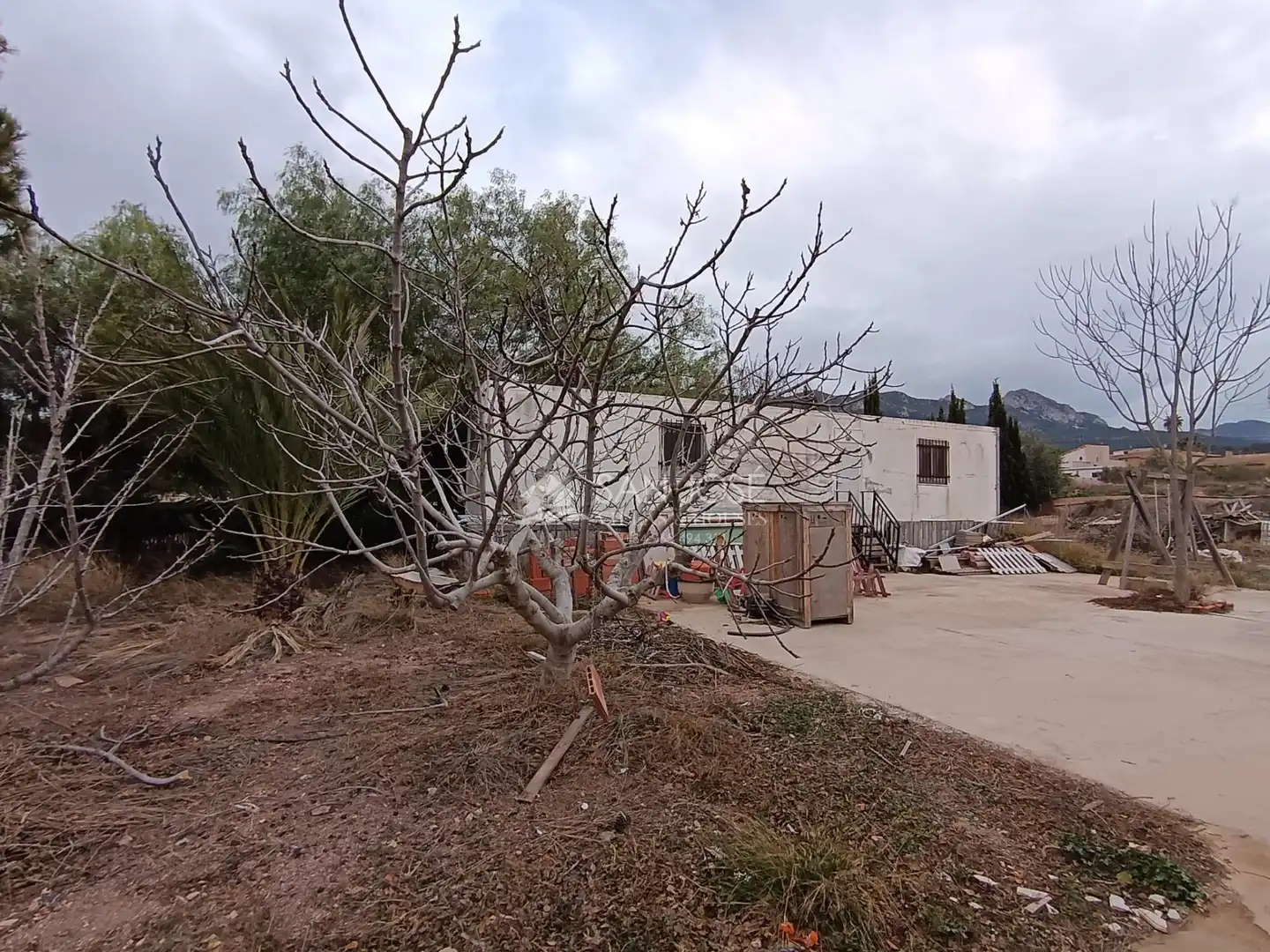 Casa o xalet en venda en La Romana amb Aire condicionat, Jardí privat i Terrassa