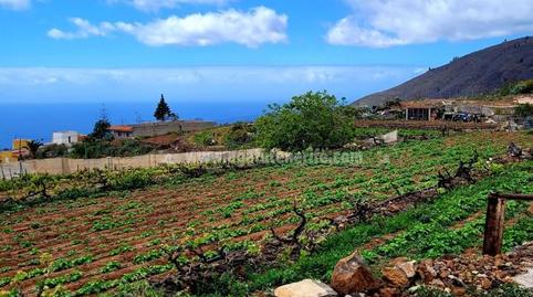 Foto 4 de Finca rústica en venda a Guía de Isora interior, Santa Cruz de Tenerife