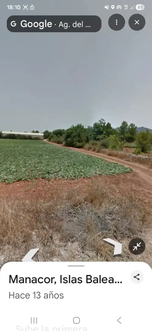 Terreno rustico in vendita a Manacor Centre, imagen 2