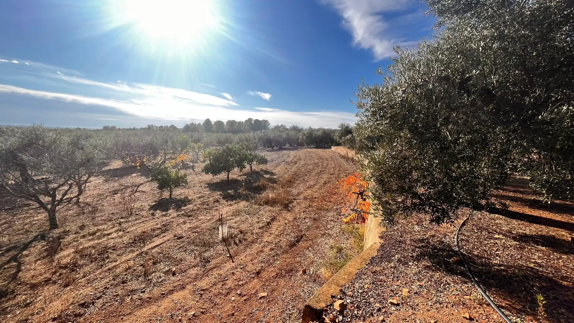 Terreno rustico in vendita a Carrer de Sant Abdó i Sant Senén, imagen 23