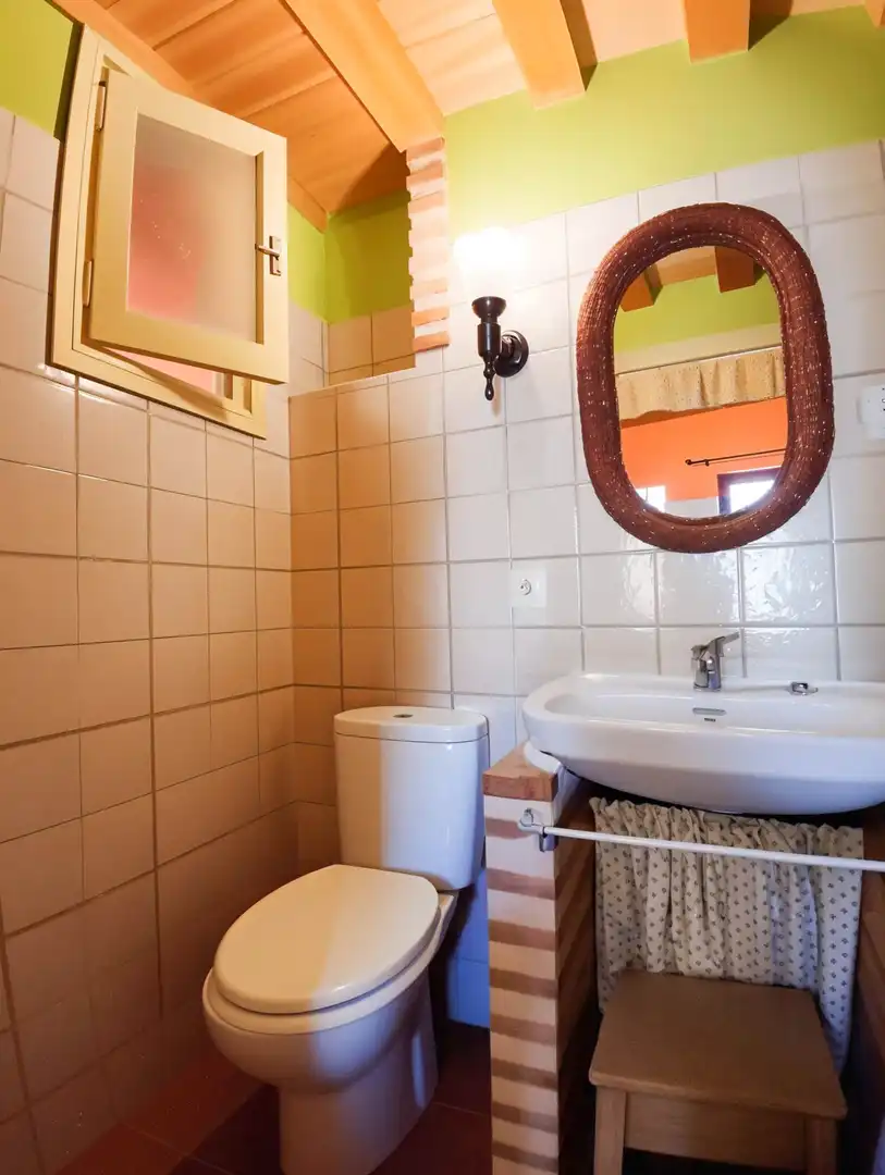 Badezimmer von Haus oder Chalet zum Verkauf in Santa María la Real de Nieva mit Privatgarten