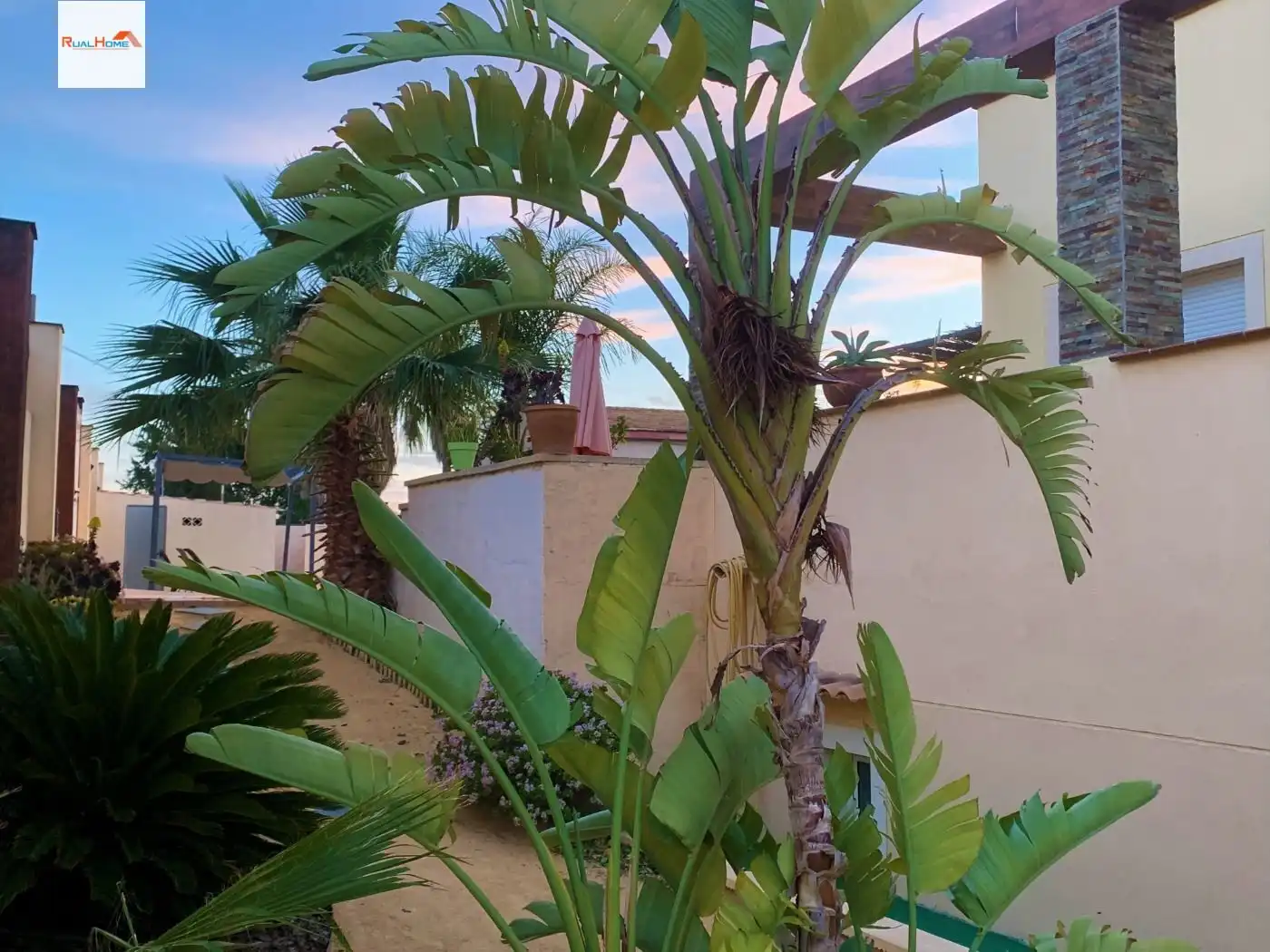 Casa o xalet en venda a La Huerta