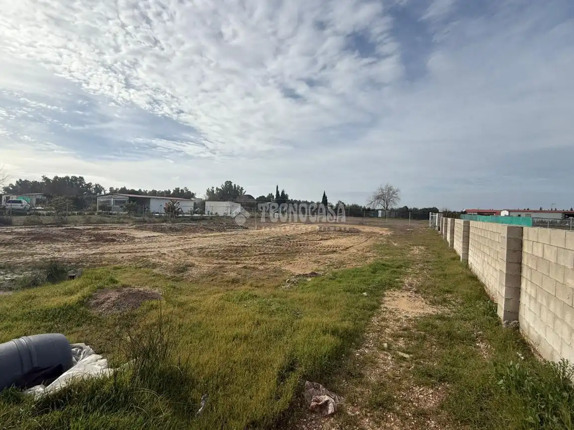 Grundstücke zum Verkauf in Arahal