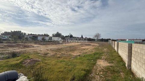 Foto 2 de Terreny en venda a Avenida Arenal Gordo, Arahal, Sevilla