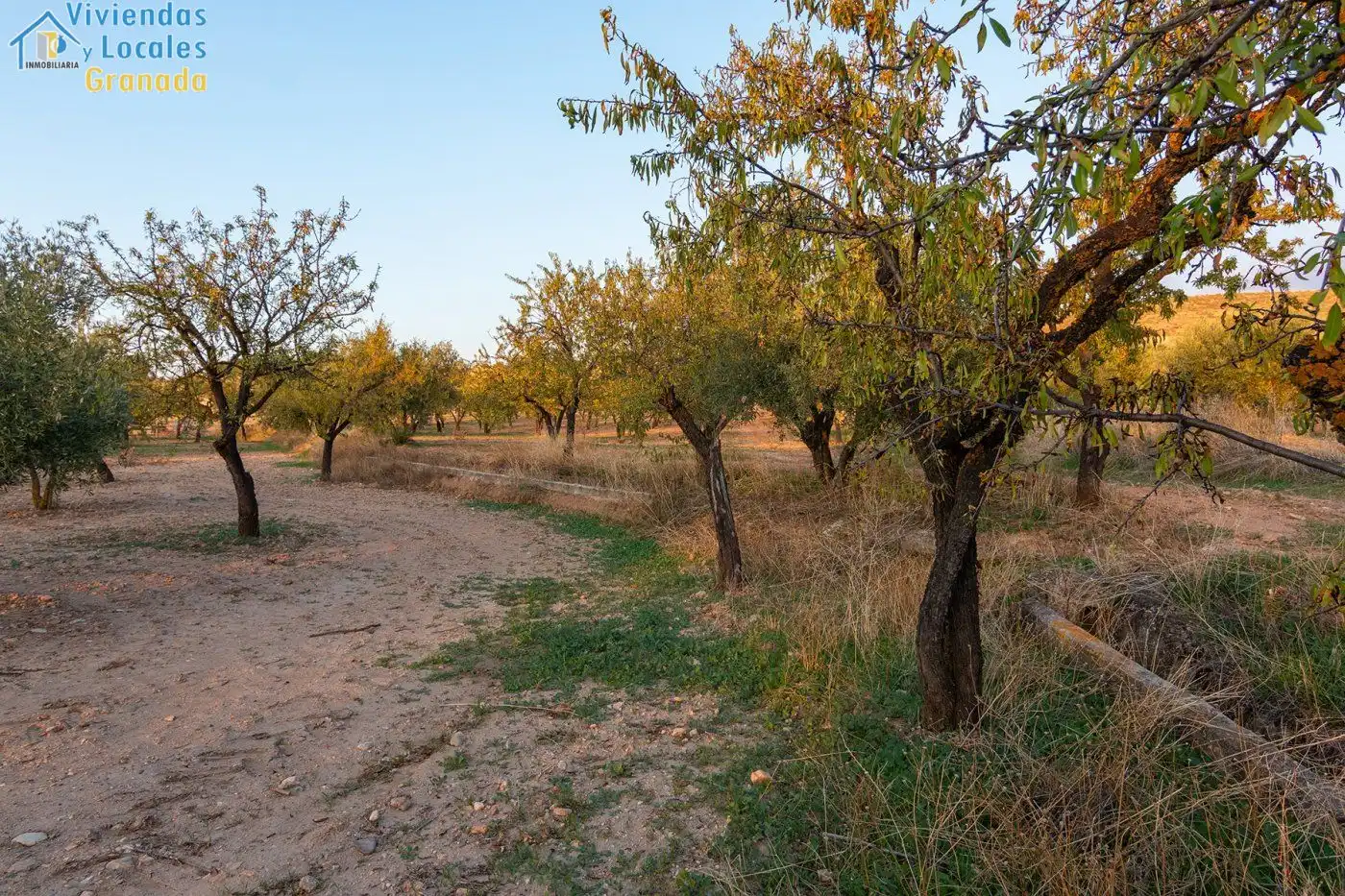 Rustikales Grundstück zum Verkauf in Camino de la zapatera, imagen 7