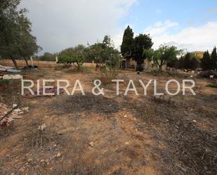 Land for sale in Manacor