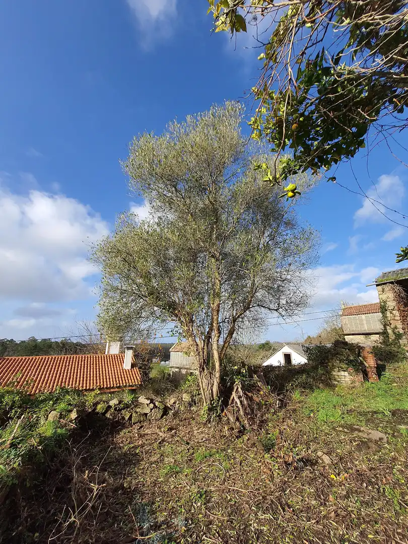 Jardí de Casa o xalet en venda en Coristanco