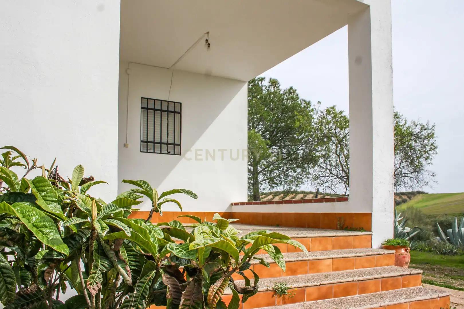 Terrace of Land for sale in Azuaga