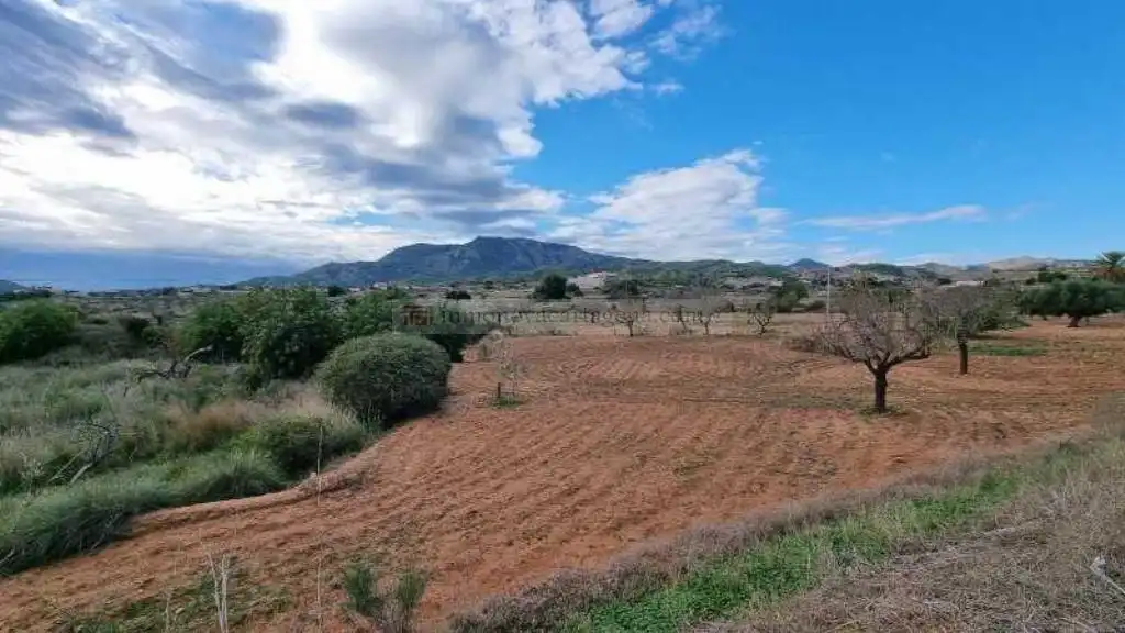 Maison rustique avec piscine à vendre à Poblado Galifa 141, imagen 4