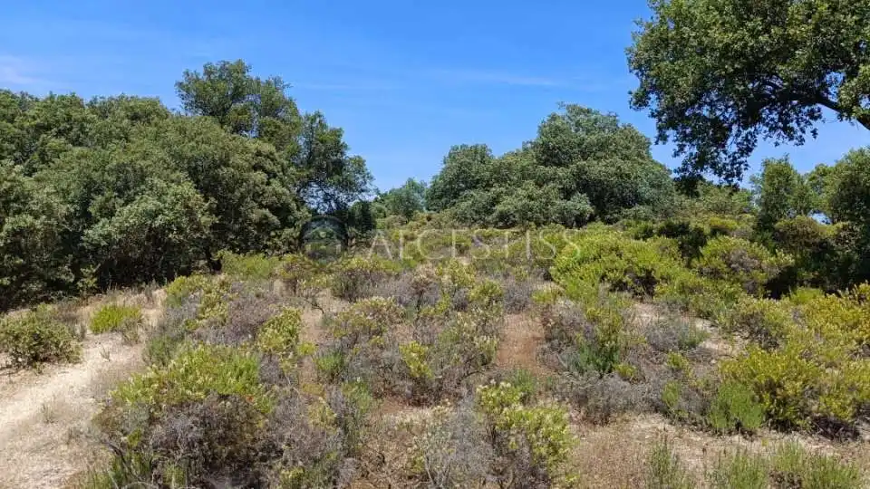 Terreno en venta en La Torre de Esteban Hambrán