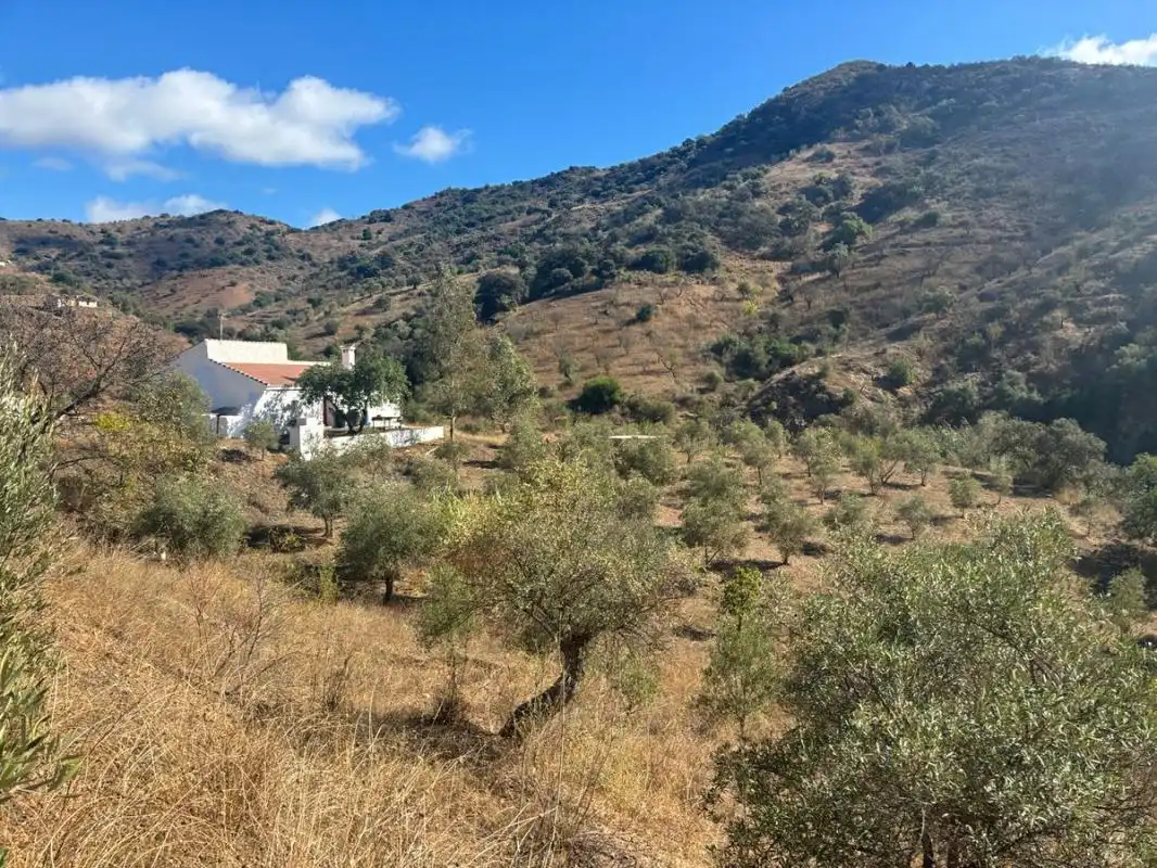 Country homes for sale in Almogía  with Heating