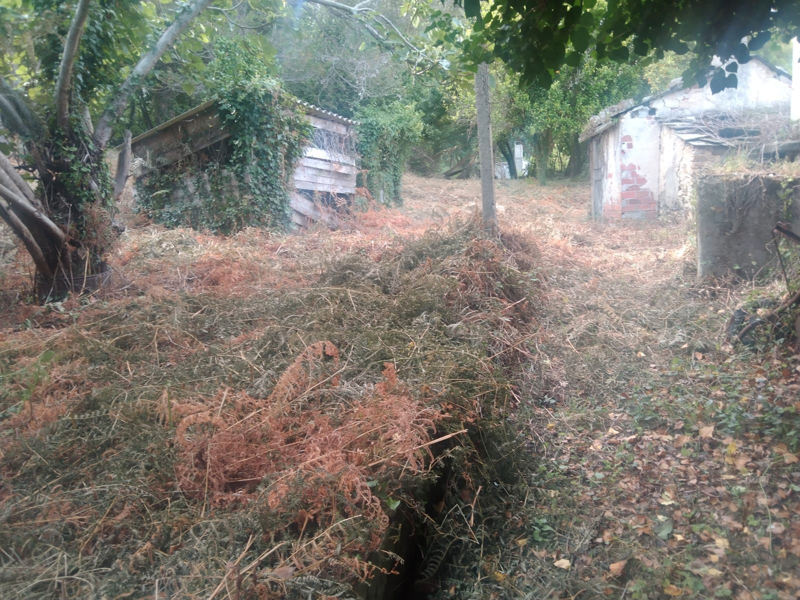 Casa o xalet en venda en Foz amb Jardí privat